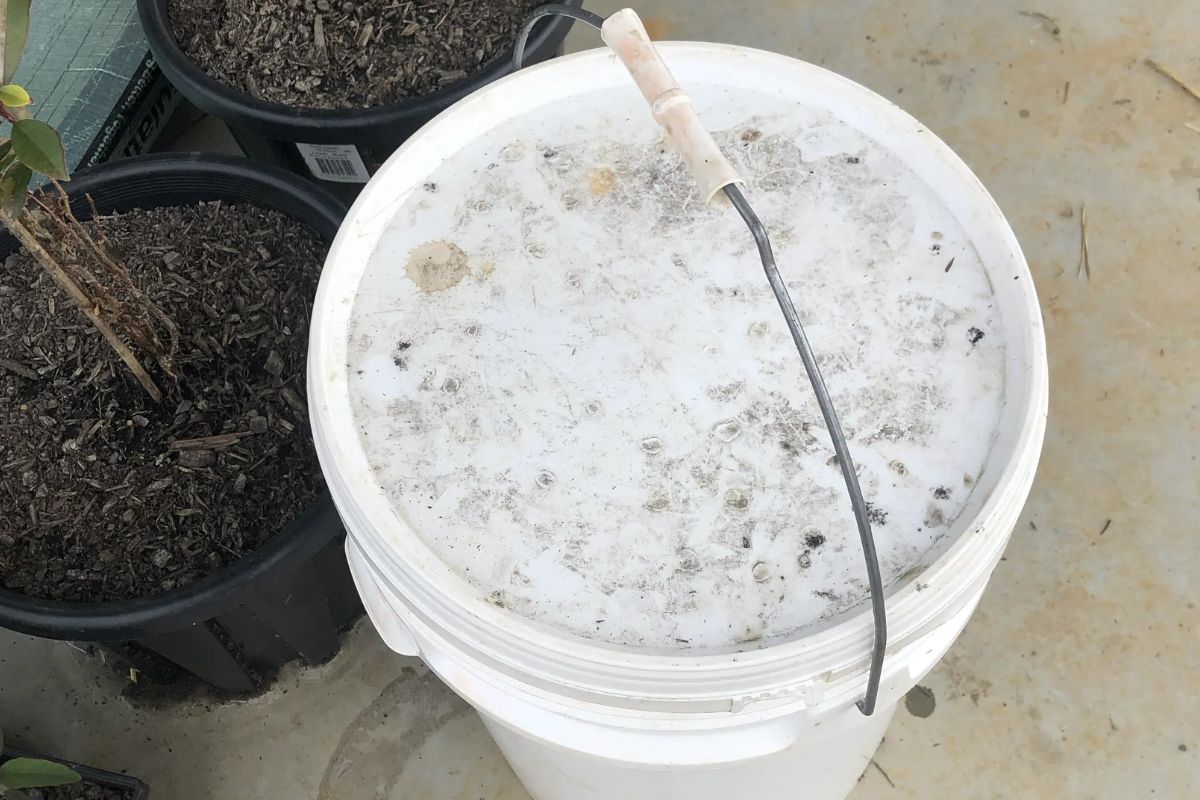 Bucket of fertiliser