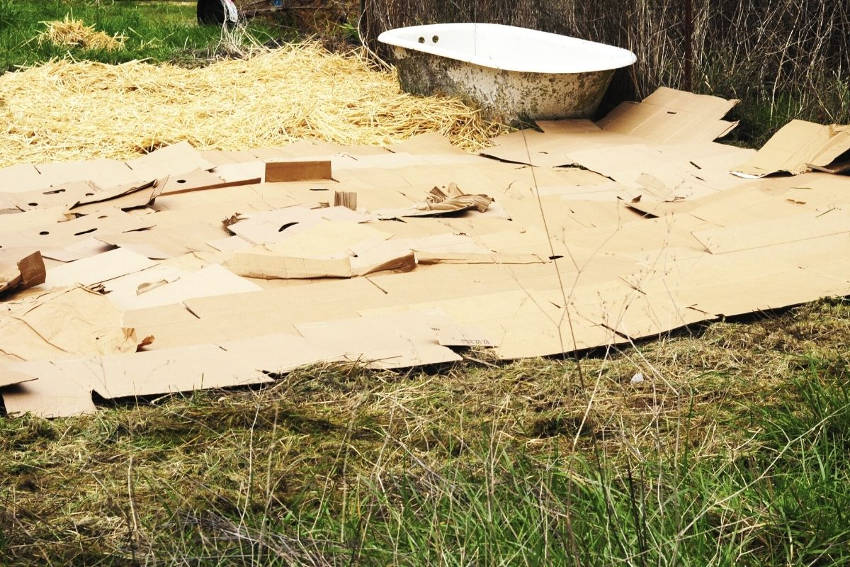 Layers of cardboard and straw over lawn to make sheet mulch