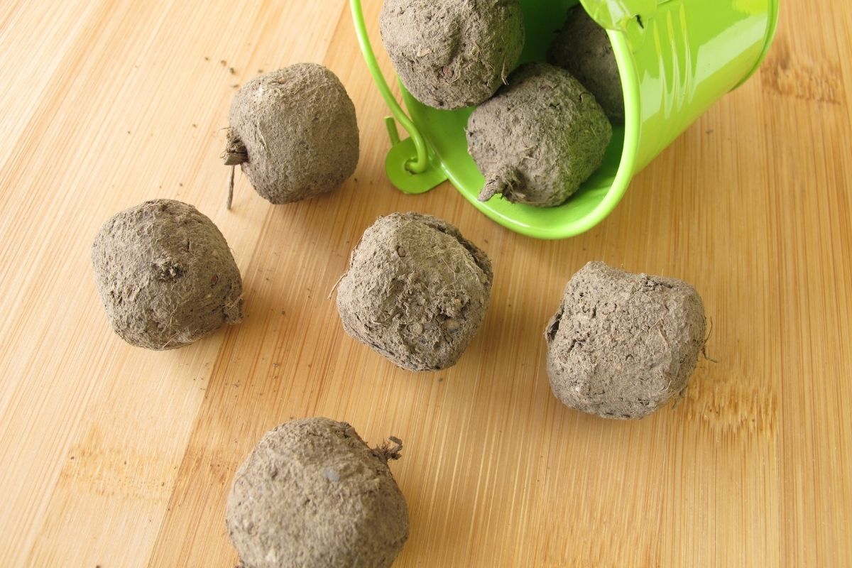 Some completed seed bombs on a wooden table