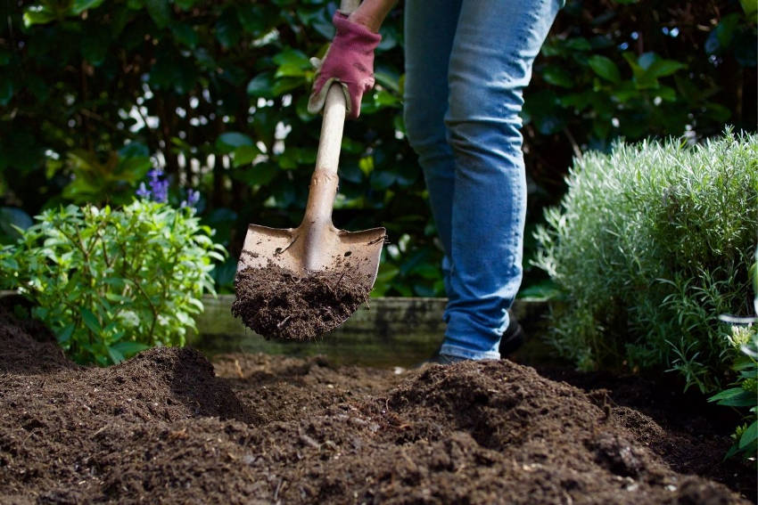 Covering the trench with soil