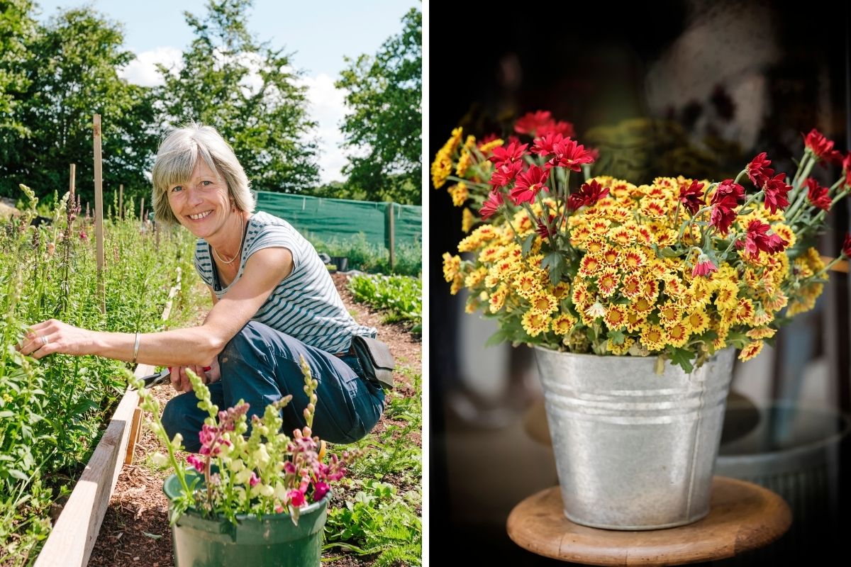 A woman cutting flowers and putting them in a bucket of water, and flowers in a bucket