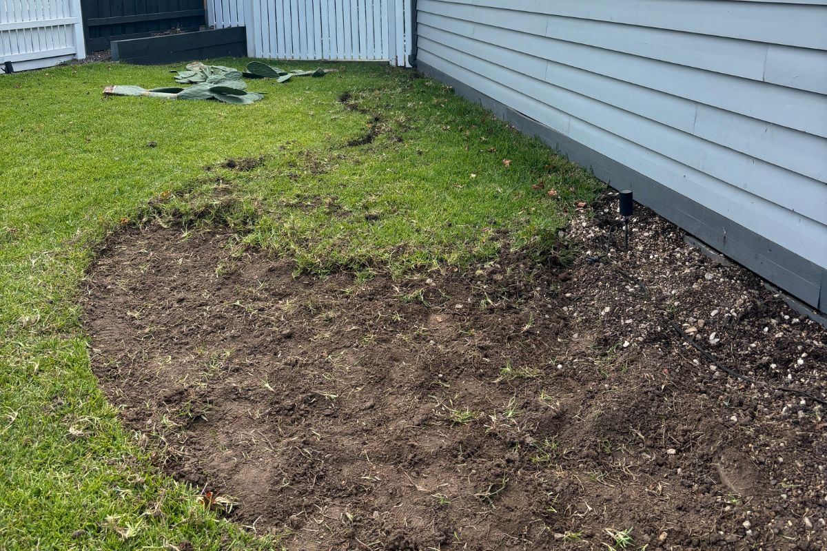 Digging out the grass for the garden bed