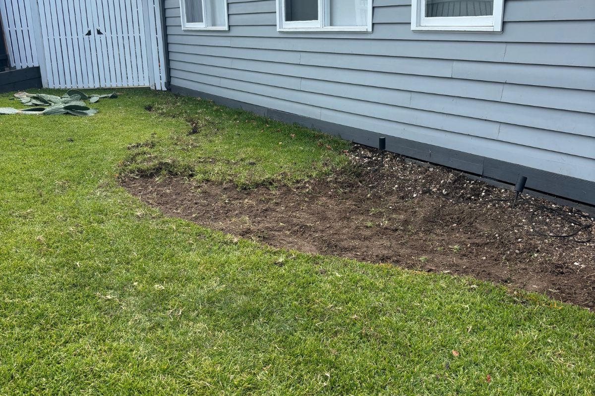 Digging the grass for the garden beds clearing the whole space