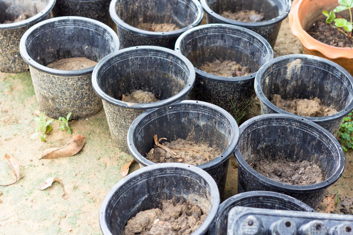 Dirty used pots need to be cleaned