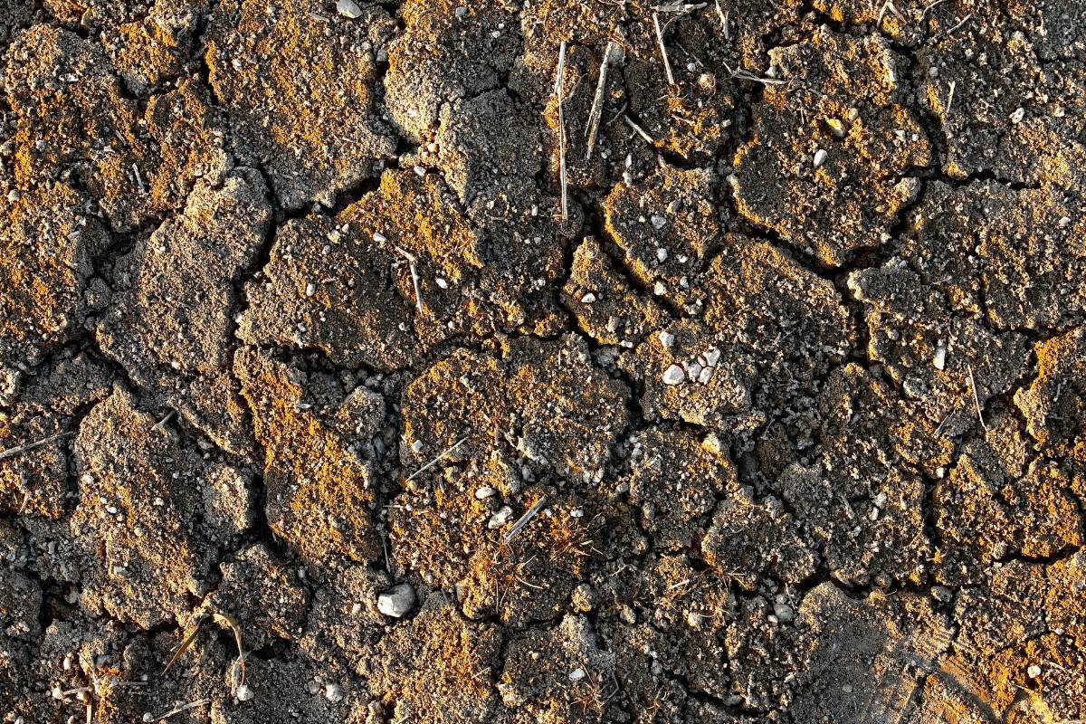 Dry cracked soil that repels water