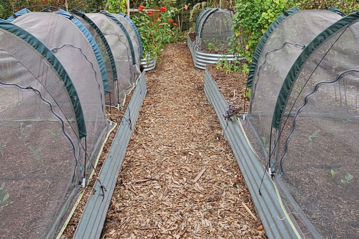 Exclusion netting