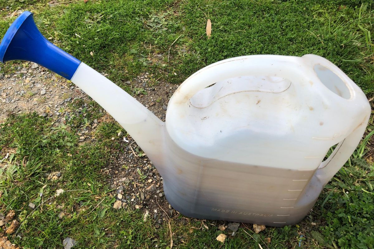 Fertiliser in watering can