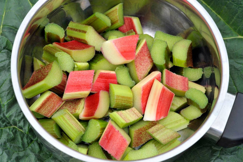 Harvested rhubarb in a saucepan