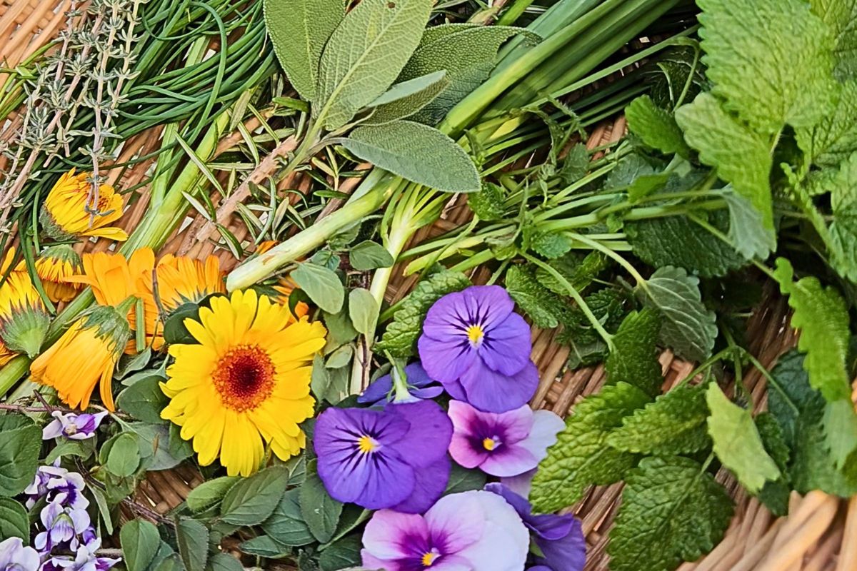Herb harvest for herbal salts