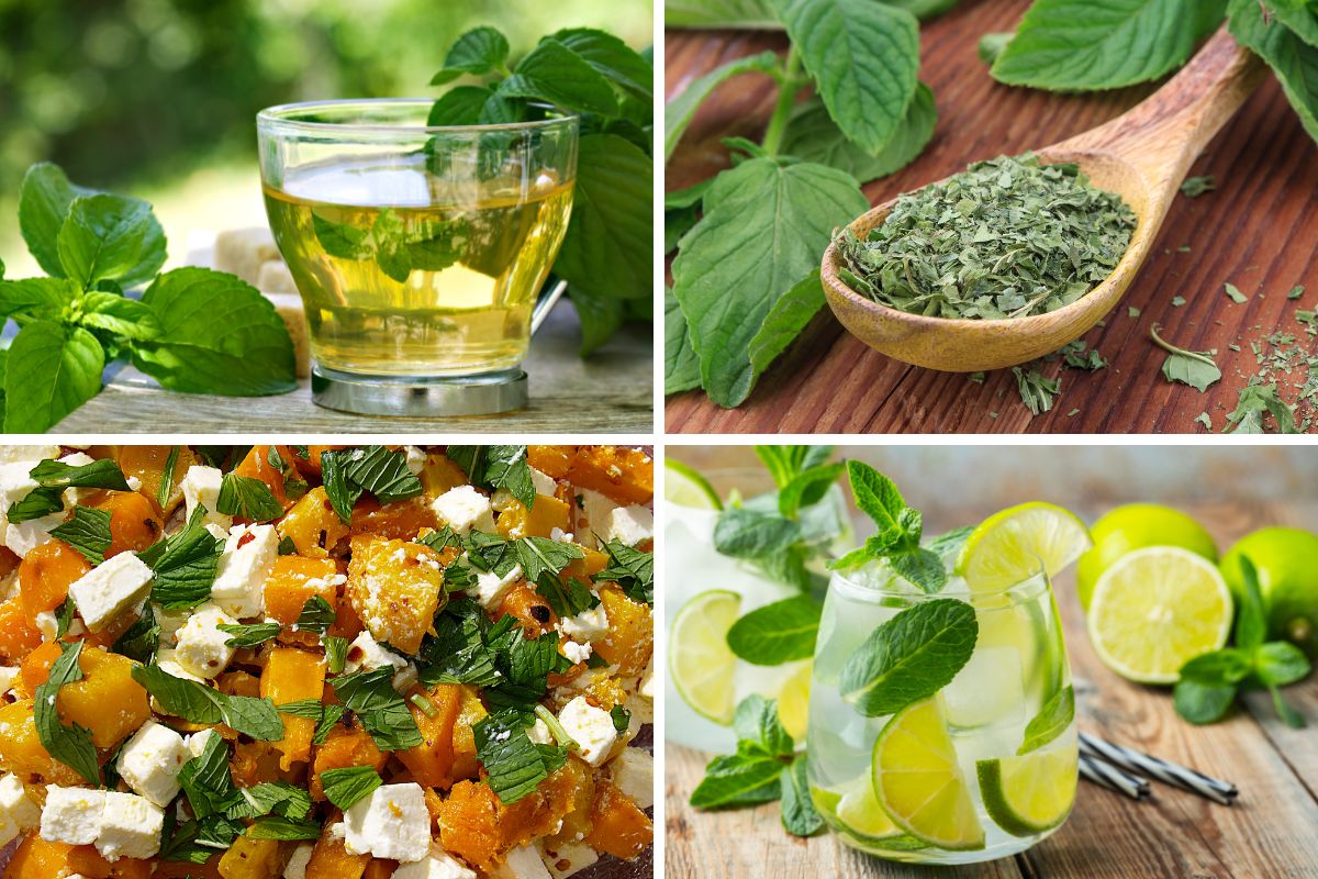 How to use mint in drinks and salads