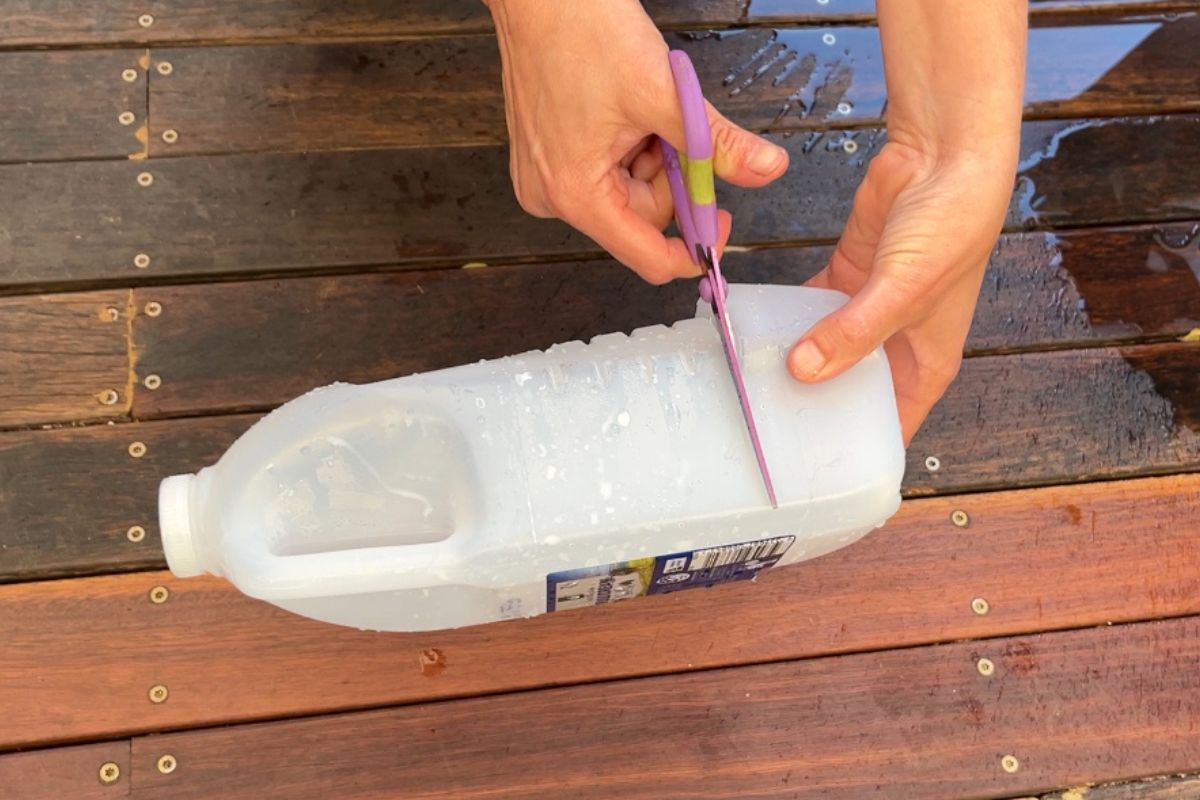 Cutting around the bottle with scissors