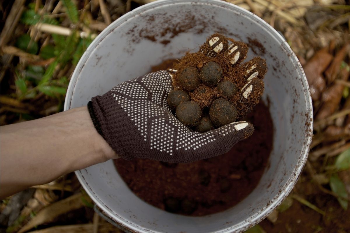 A person wearing gloves holding some compost and seed balls