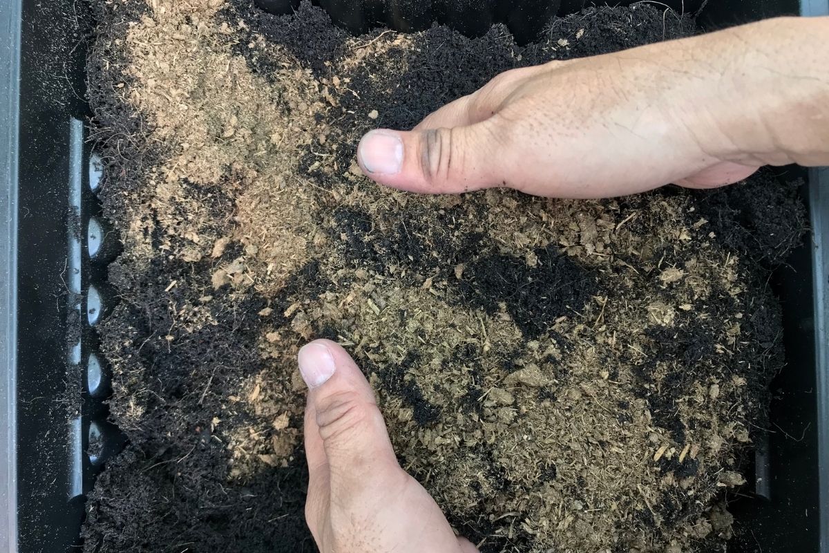 A person mixing sand and soil to make seed raising mix