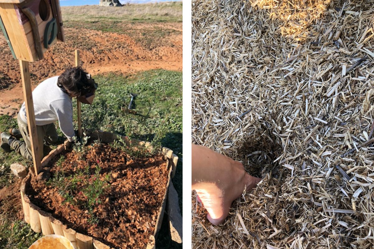 Hand pushed into deep straw mulch