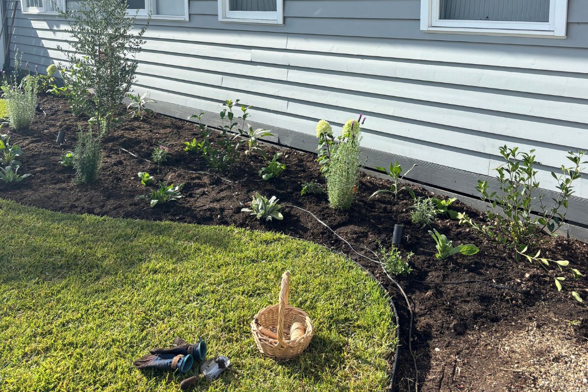 Planting out the cottage garden and waiting for the plants to grow