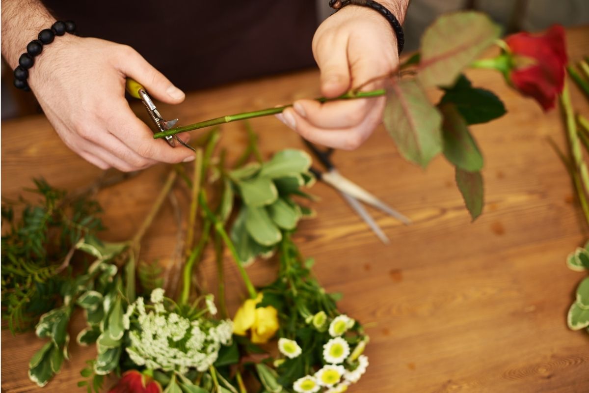 A man recutting the stems of flowers before arranging them in a vase
