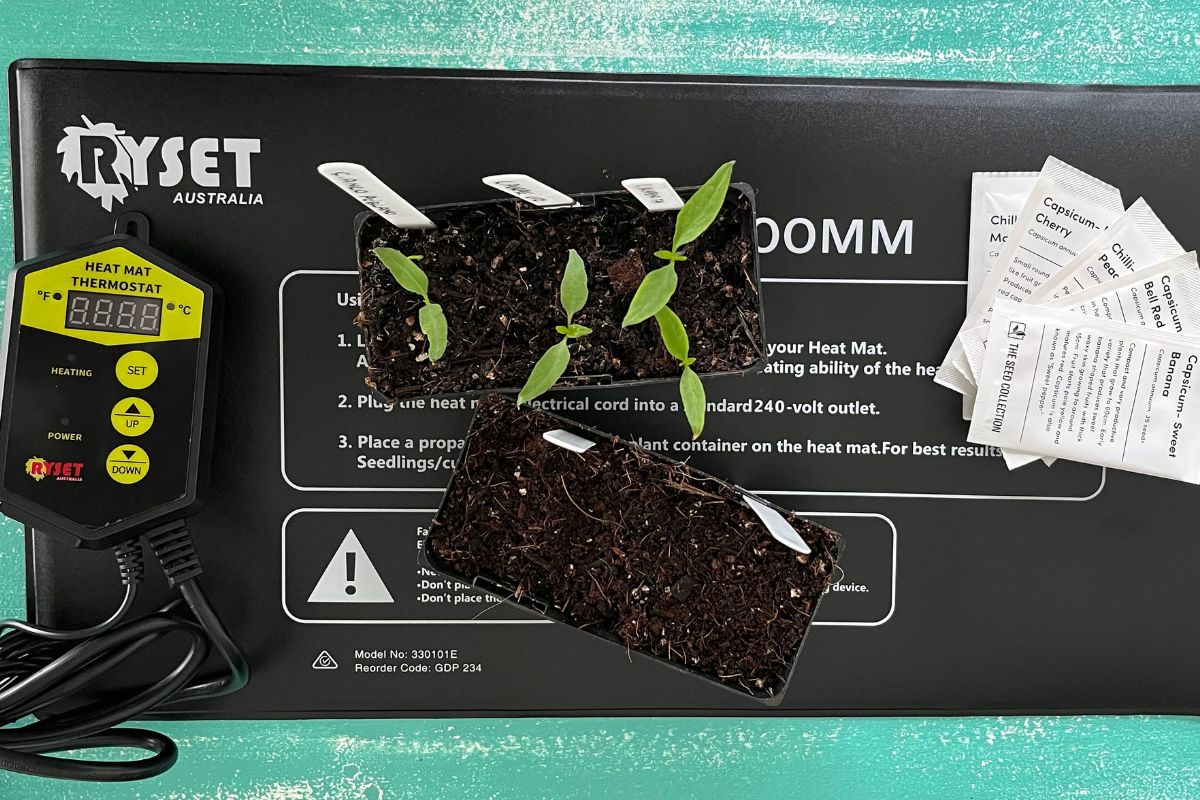 Heatmat for seedlings