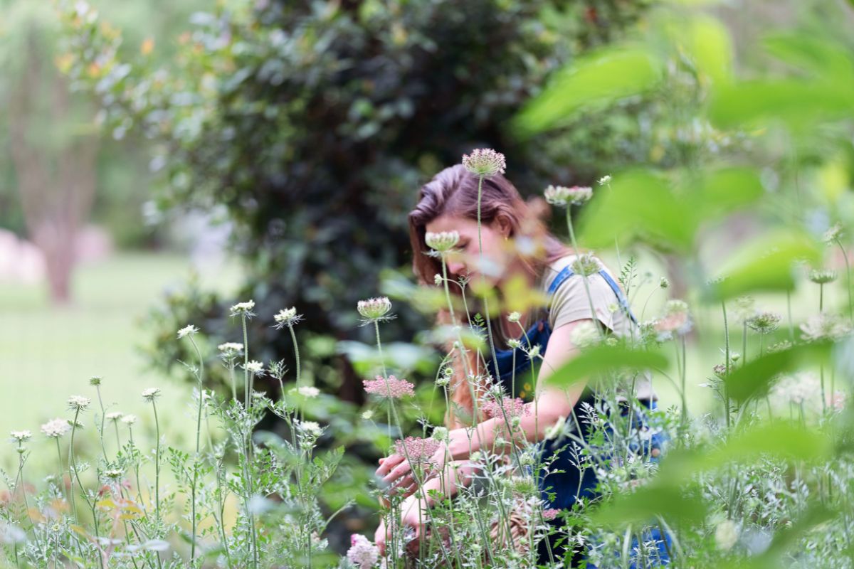 Sam and Queen Annes Lace