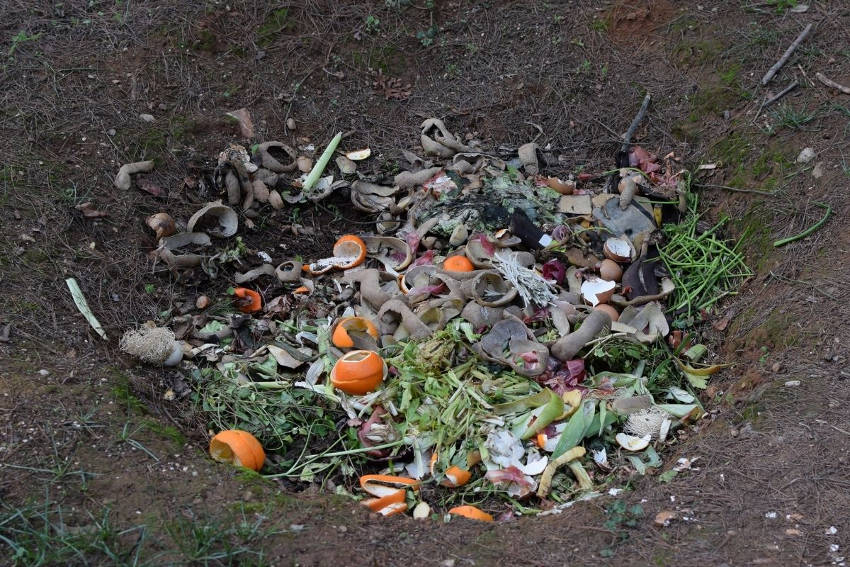 Scraps and garden waste in the trench