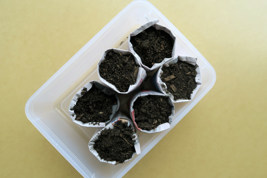 Seed pots with potting mix