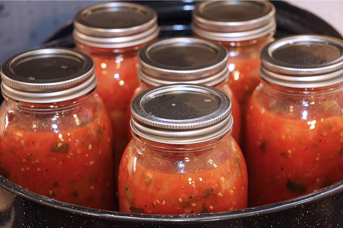 A photo of several bottles of tomato sauce in Mason jars in a pressure cooker