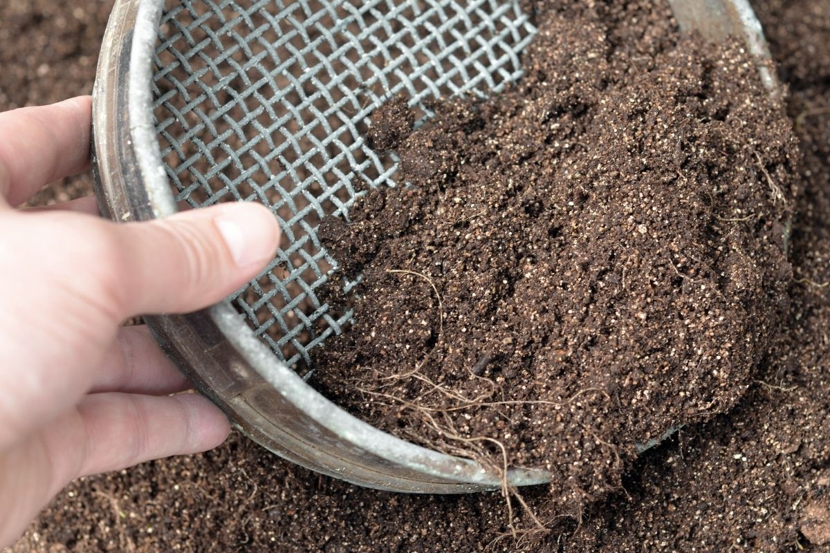A person using a riddle or sieve to sift soil