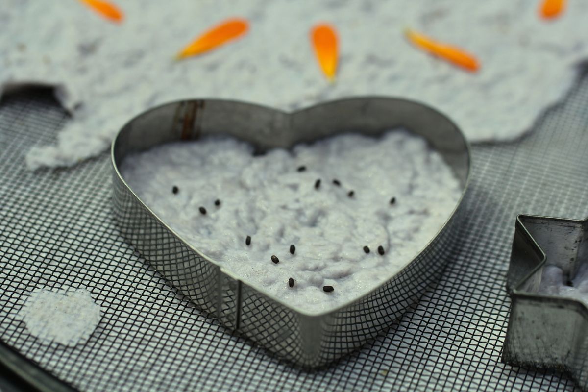 Paper pulp spread in a cookie cutter, sprinkled with basil seeds.