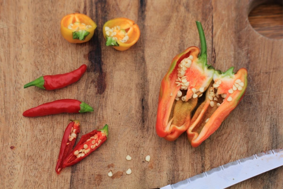 Three different varieties of chilli cut in half to reveal the seeds inside