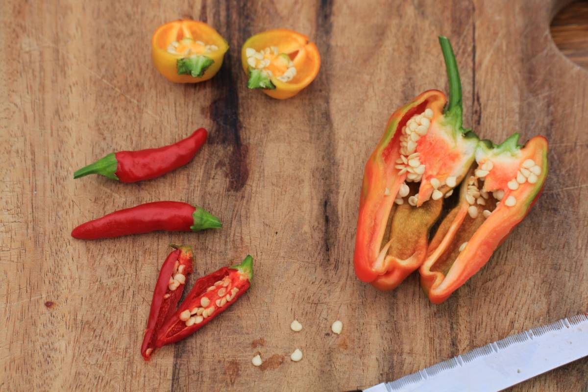 Two chilli plants and a capsicum cut in half to show the seeds inside