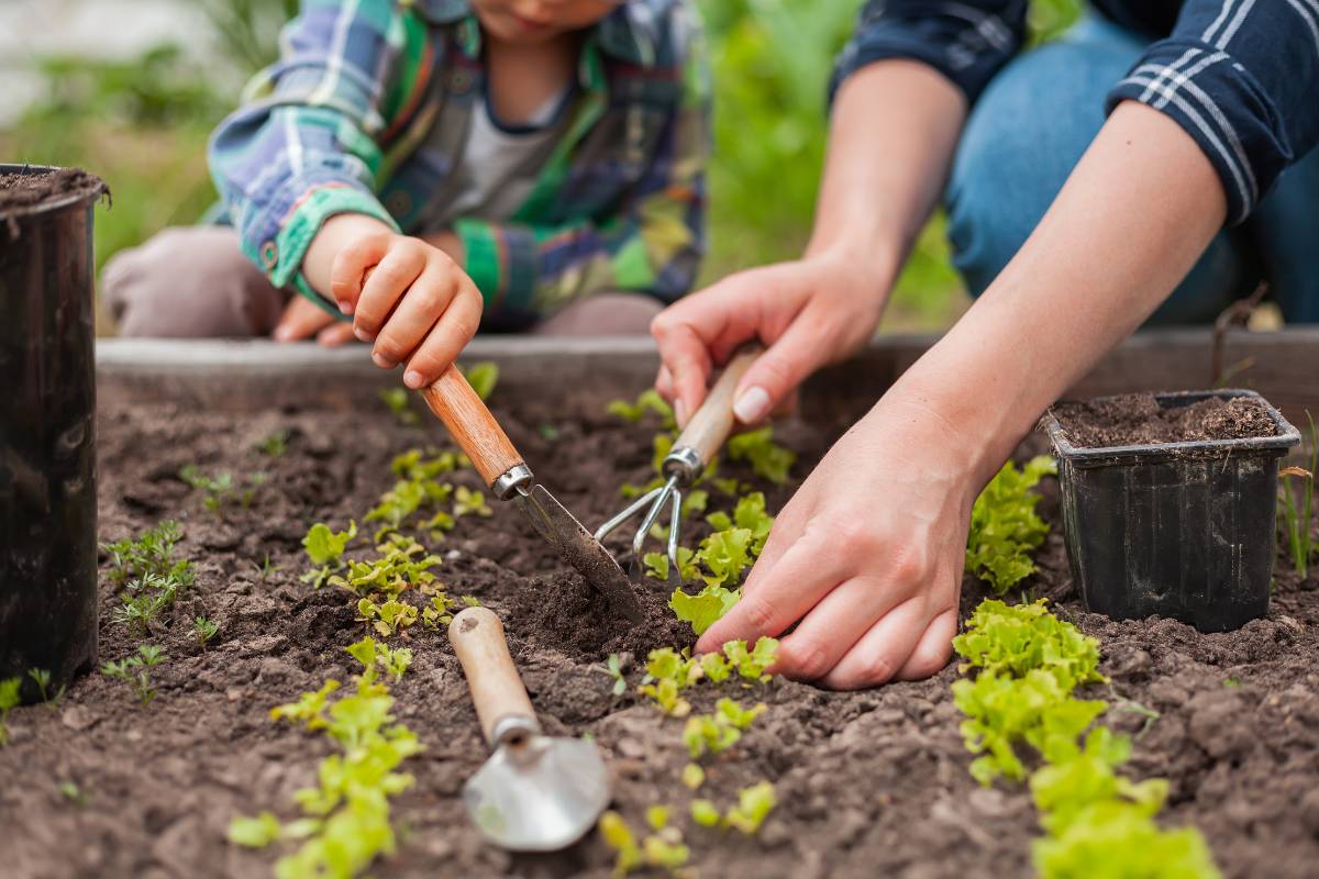 Two gardeners tending to some seedling vegetables in a raised garden bed