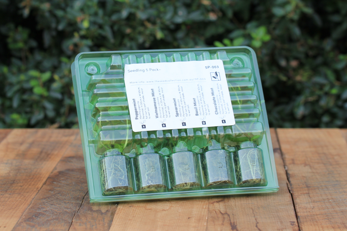 A green plastic blister pack containing 5 plant seedlings.