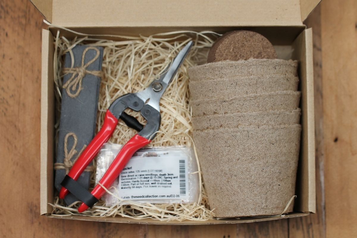 The inside of a gift box with herb and vegetable seeds, biogradable pots, soil pellets, plant labels and snips.