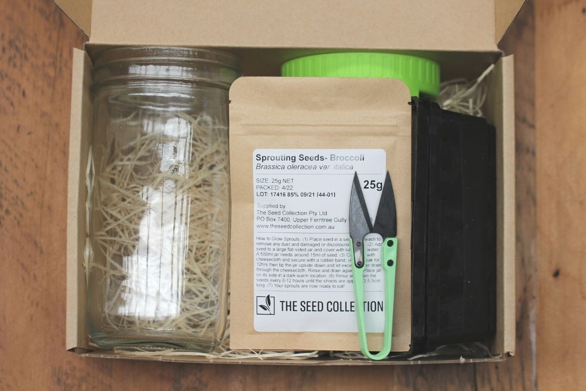The inside of a gift box with wood wool, sprout jar, punnets, seeds and herb snips