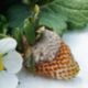 strawberry with botrytis