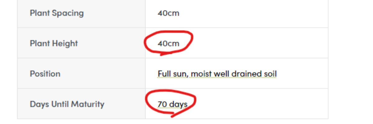 A product description showing the plant height and days to maturity for eggplant