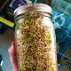 Sprouting jar