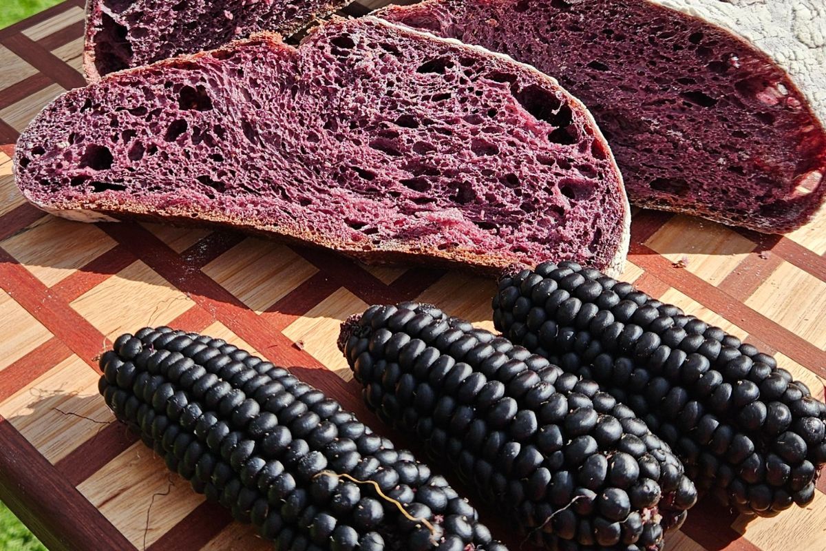 Using corn as food dye in sourdough