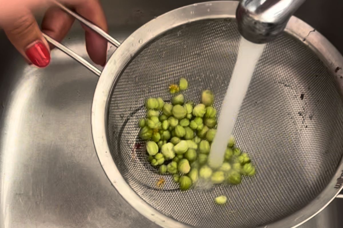 Washing nasturtium seeds