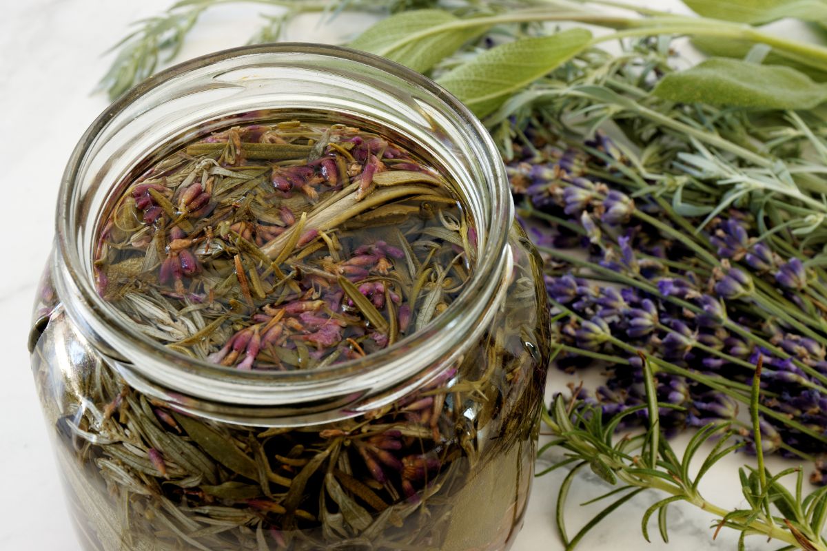 a mix of herbs added to vinegar