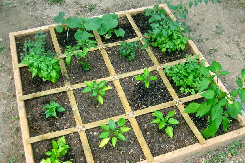 Square foot garden bed