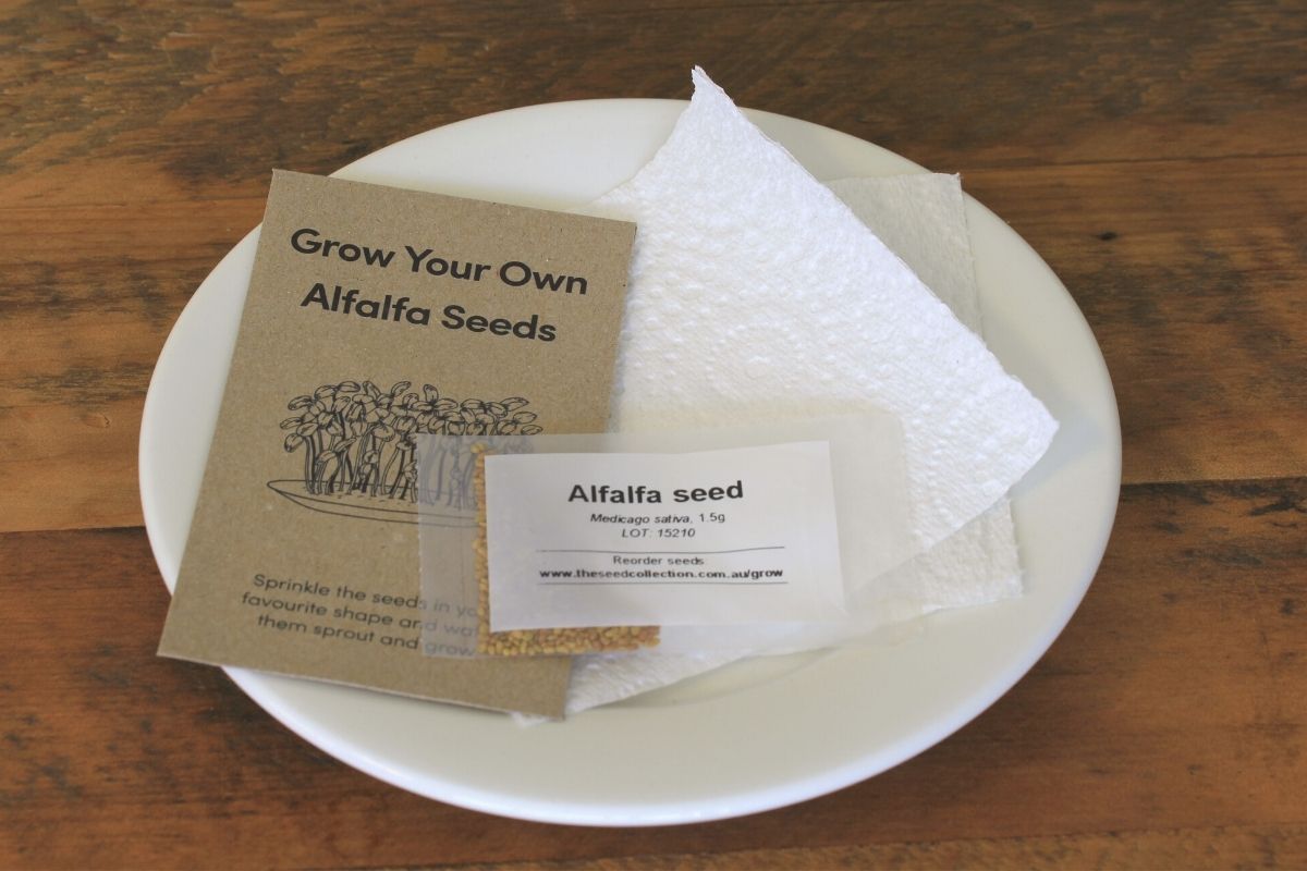 A packet of alfalfa seeds, some pieces of paper towel and a saucer