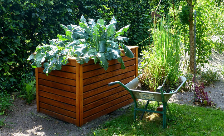 raised garden bed 3