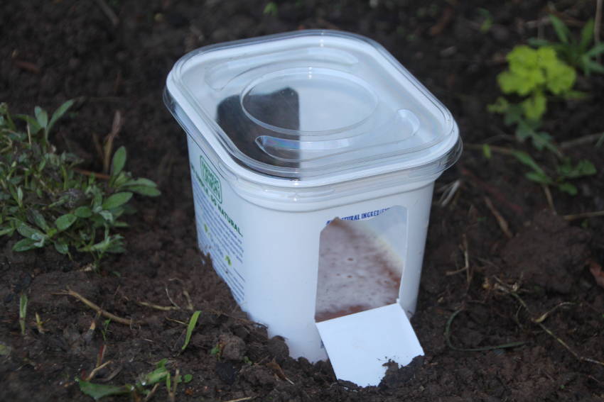 homemade slug traps