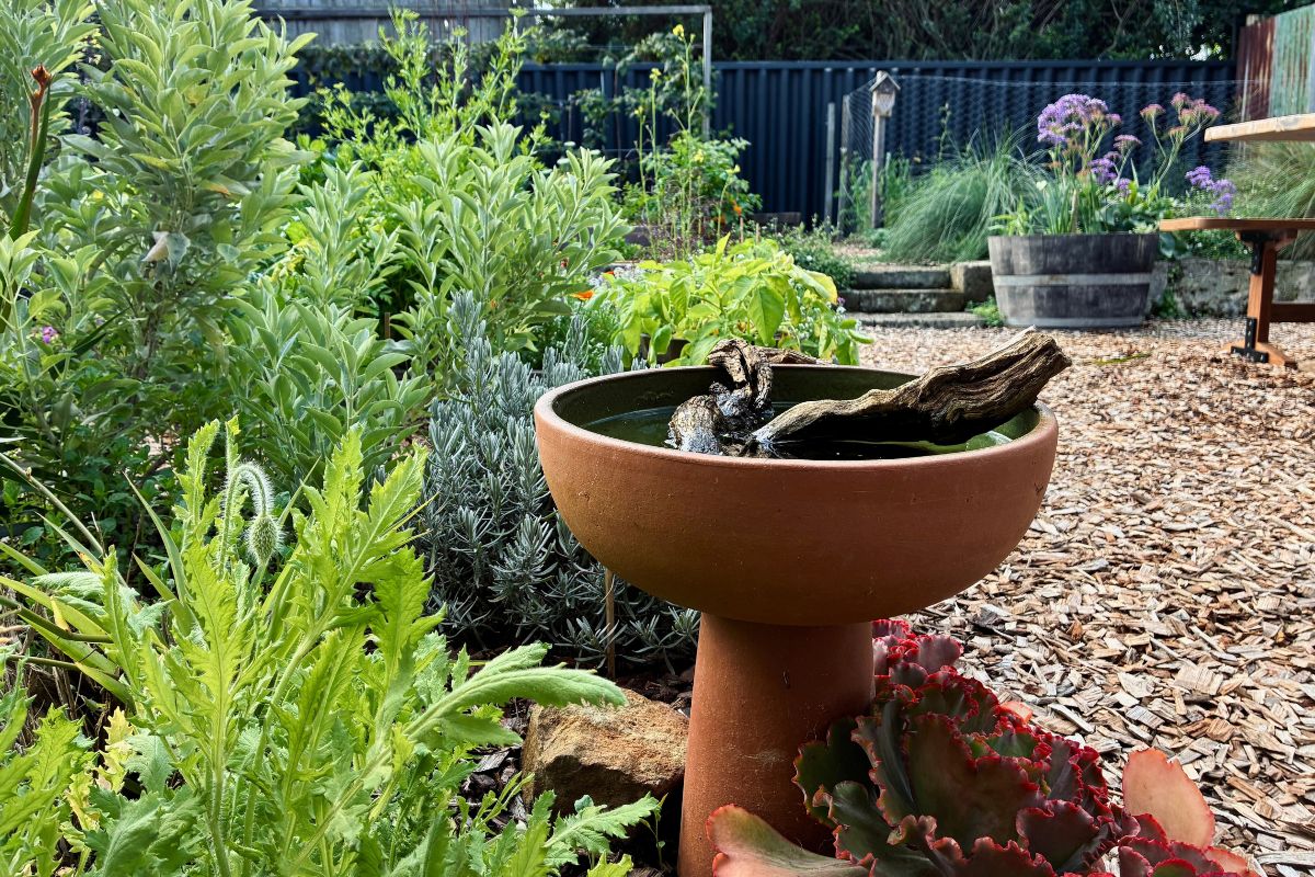 Birdbath