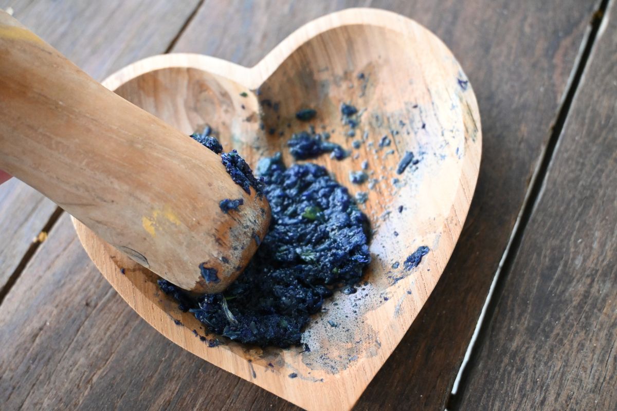 blue butterfly pea flower crushed