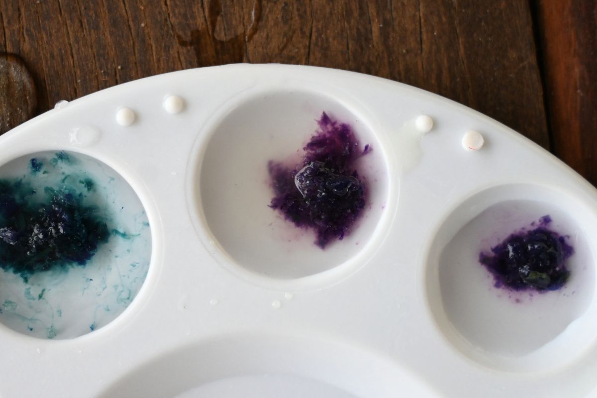 blue butterfly paints