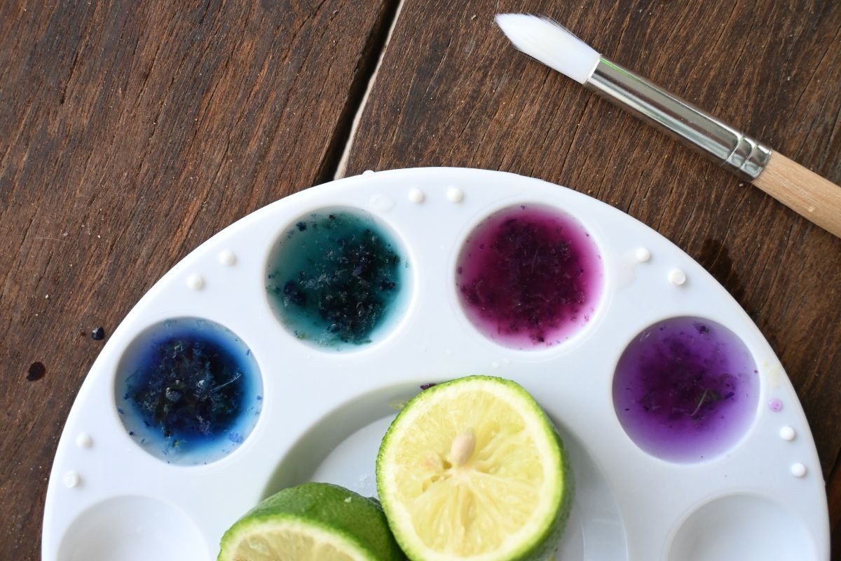 blue butterfly painting