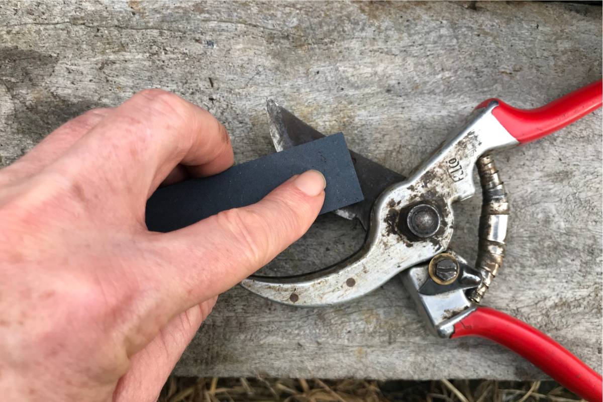 checking the flat side of the blade for burrs