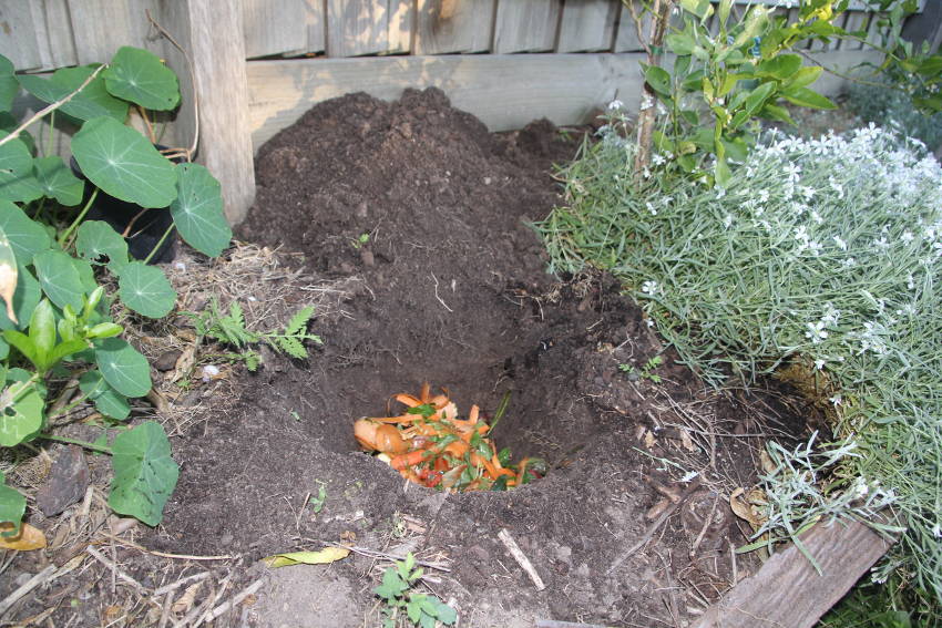 Compost – What Katy Digs