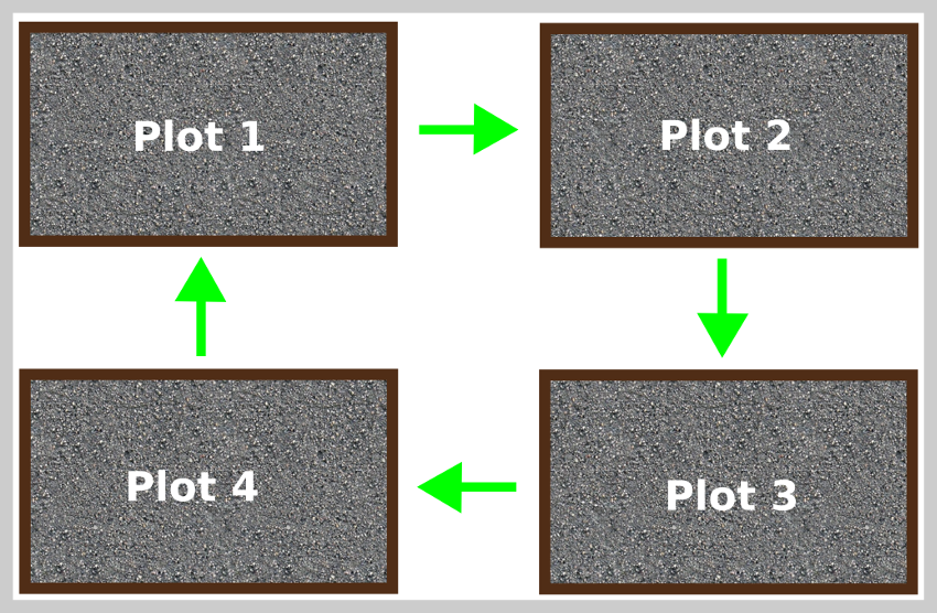 4 Bed Crop Rotation Chart